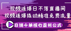 视频连爆撬动精准免费流量，让你卖货日销千单-欢迎访问本站